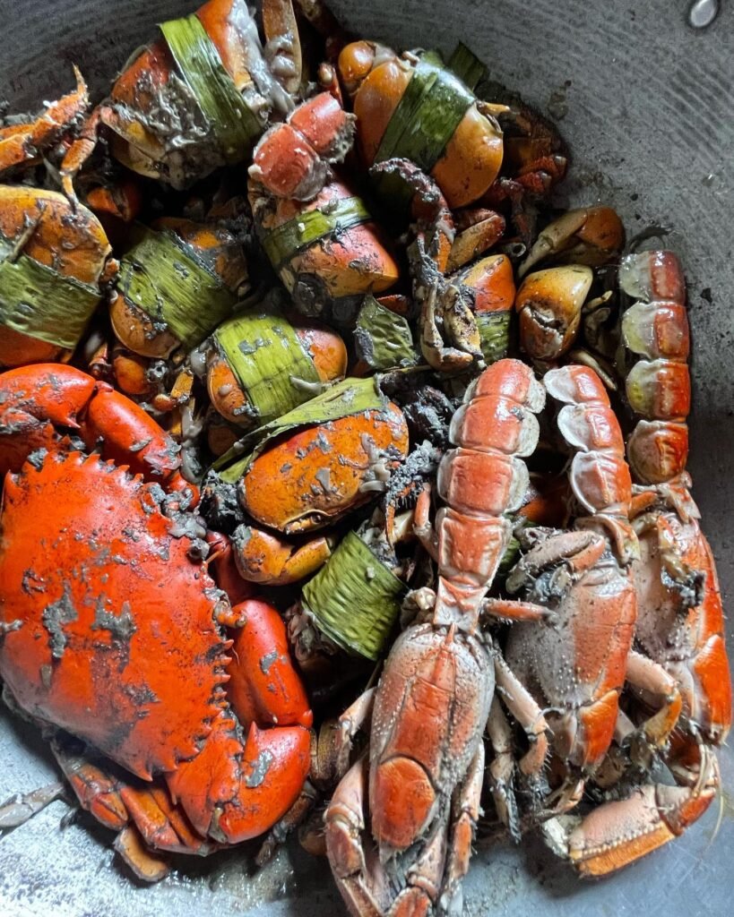 house of hazelknots - ulang-ulang - 1