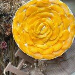 Mango Refrigerated Cake - House of Hazelknots