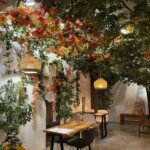 Cafe Kreams